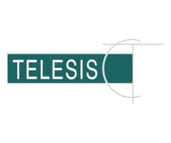 Telesis Securities
