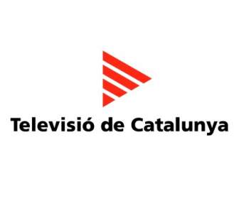 Televisió De Catalunya