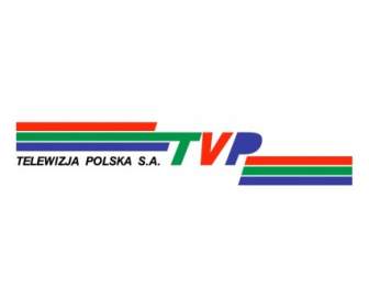 Telewizja 波蘭