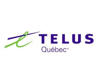 Telus 社のソフトウェア ケベック