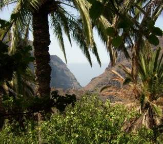 îles Canaries De Tenerife Nature