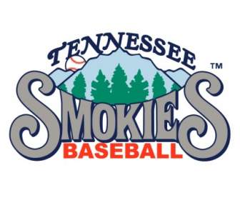 Smokies Tennessee