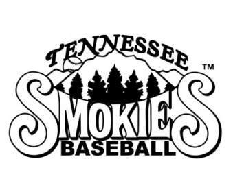 Smokies Tennessee