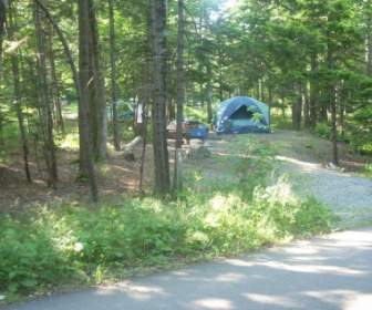 Tenting At Blackwoods Campground
