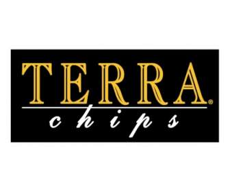 Terra Chip
