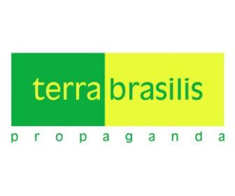 Terrabrasilis โฆษณาชวนเชื่อ