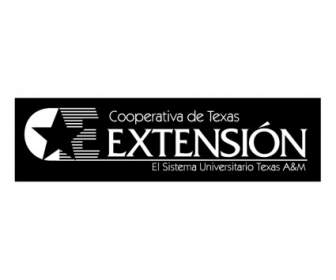 Extensão Cooperativa De Texas