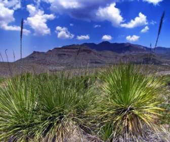 Texas Paesaggio Scenico