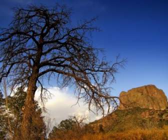 Texas Landschaft Scenic