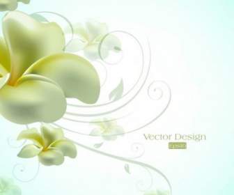 Text Elegant Lily Design Background Vector
