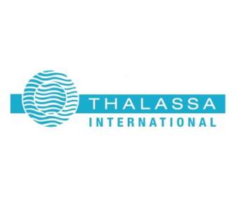 Thalassa Internazionale