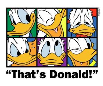 Itulah Donald