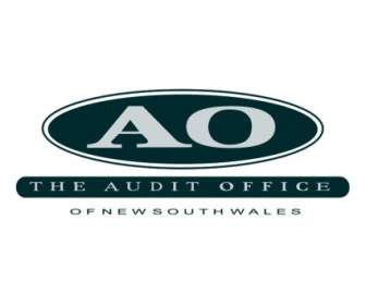 The Audit Office Of Newsouthwales
