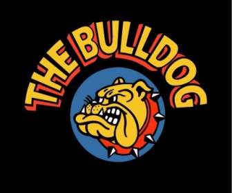 Die Bulldogge