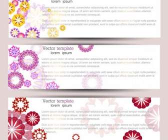 The Exquisite Pattern Banner01vector