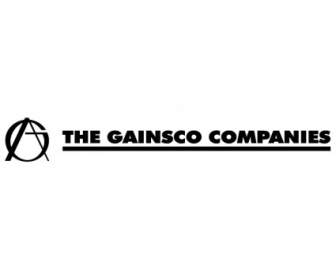 Gainsco 公司