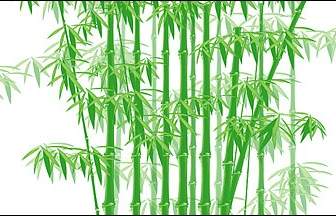 The Green Bamboo Vector Material