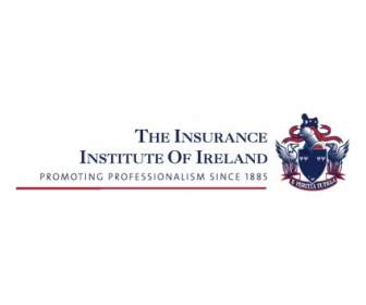 страховой институт Ирландии