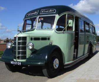 Belanda Bus Bedford