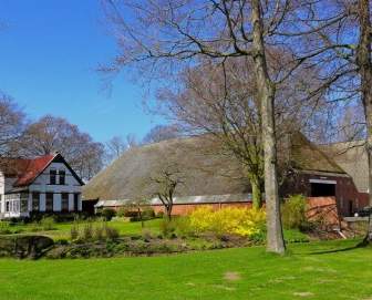 بيت مزرعة في هولندا