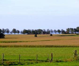 Die Niederlande-Landschaft-Felder