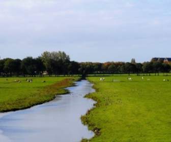 Die Niederlande-Landschaft-stream