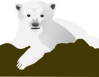 الدب القطبي القصاصة الفنية