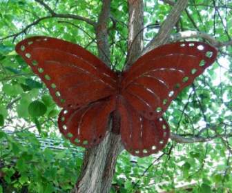 The Rusty Butterfly