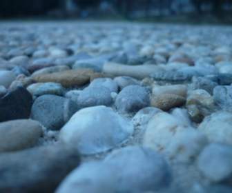 The Stones Pebbles Nature