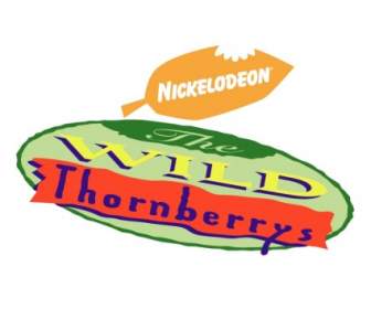 野生の Thornberrys