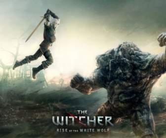 The Witcher Rise Of The White Wolf Wallpaper The Witcher Games