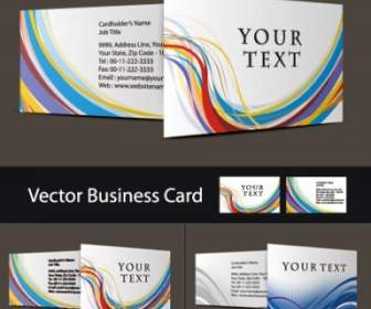 Three Beautiful Business Card Vector