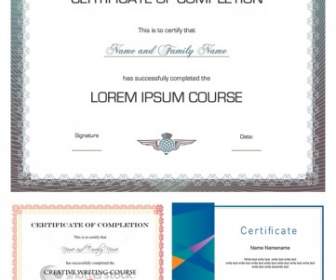 Three Vector Design Certificate