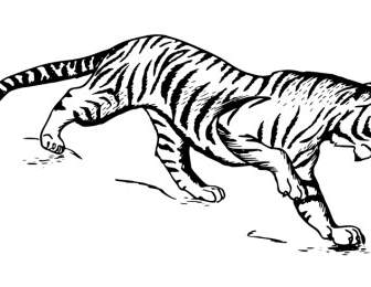 Harimau