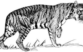 Harimau