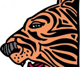 Tiger Head Clip Art