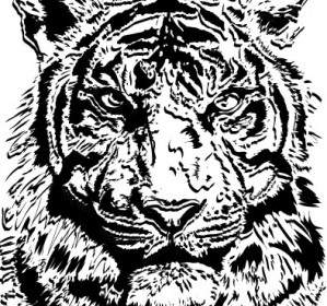 Vector De Imagen De Tigre