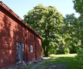 Holz Hütte Rotes Haus Sommer