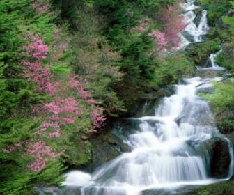 Natureza De Cachoeiras Tochigi Prefecture Papel De Parede
