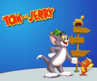 Fond D'écran De Tom Et Jerry Dessins Animés Anime Animé