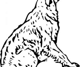 Tom Menunggu Anjing Lineart Tersebut Clip Art