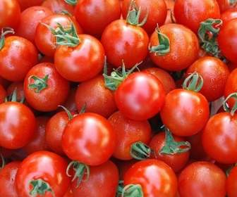 トマトの背景画像