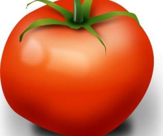 Clip Art De Tomate