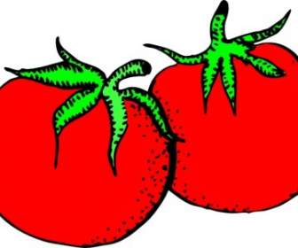 Clipart De Tomates