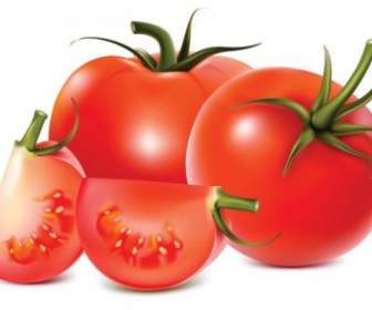 トマトのベクトル