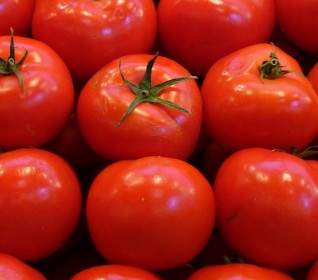 tomatoes vegetable red