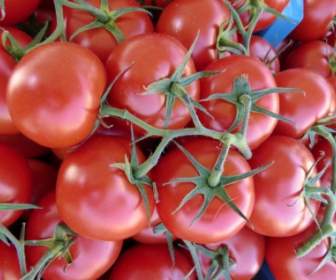 Legumes Tomate Vermelhos