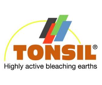 Tonsila
