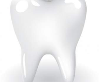 歯の歯