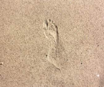砂の足跡を追跡します。